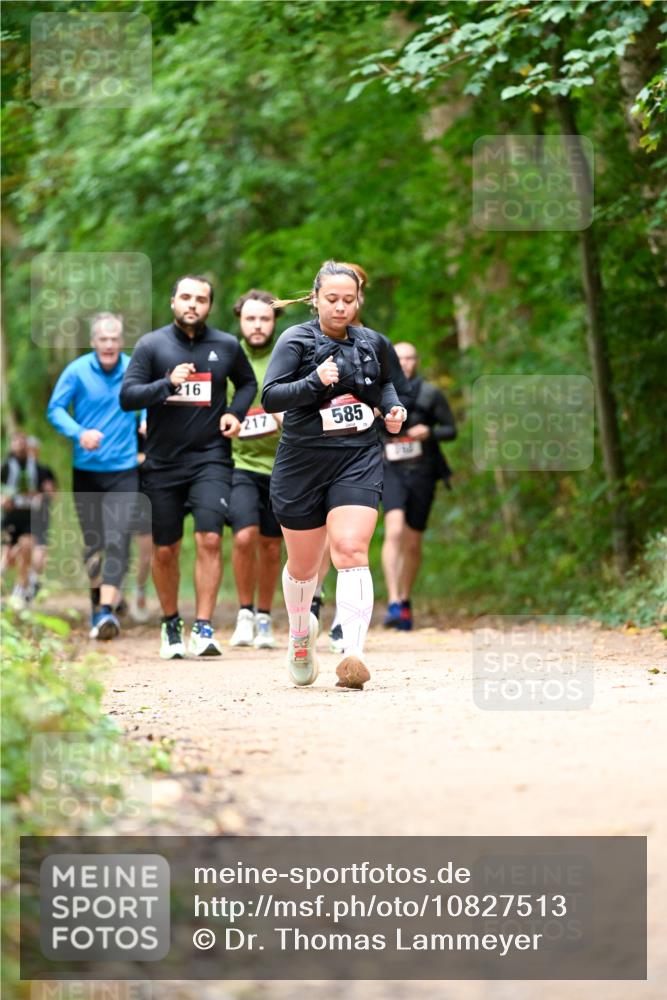 11.10.2026 - Bramfelder Halbmarathon 2026 Dr. Thomas Lammeyer http://msf.ph/oto/10827513 11.10.2026 11:03:07 Laufen 216, 217, 585, 75 meine-sportfotos.de