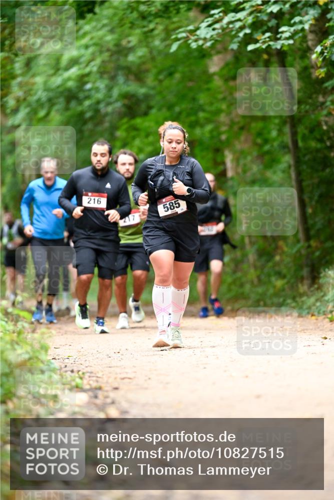 11.10.2026 - Bramfelder Halbmarathon 2026 Dr. Thomas Lammeyer http://msf.ph/oto/10827515 11.10.2026 11:03:07 Laufen 216, 217, 1, 585, 75 meine-sportfotos.de