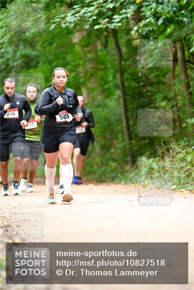 11.10.2026 - Bramfelder Halbmarathon 2026 Dr. Thomas Lammeyer http://msf.ph/oto/10827518 11.10.2026 11:03:07 Laufen 216, 585, 217 meine-sportfotos.de