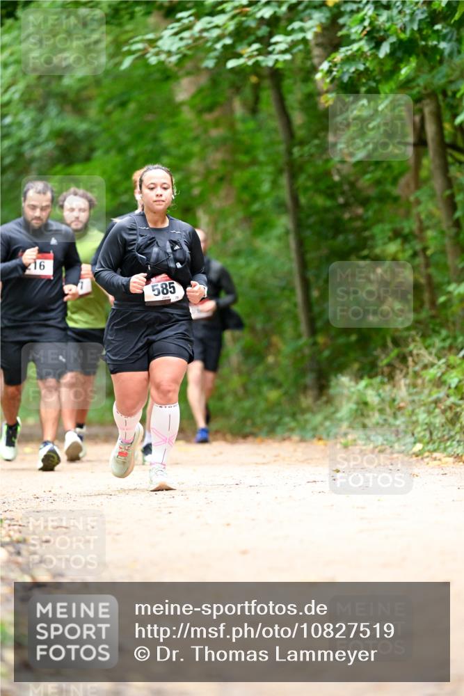 11.10.2026 - Bramfelder Halbmarathon 2026 Dr. Thomas Lammeyer http://msf.ph/oto/10827519 11.10.2026 11:03:08 Laufen 16, 585 meine-sportfotos.de