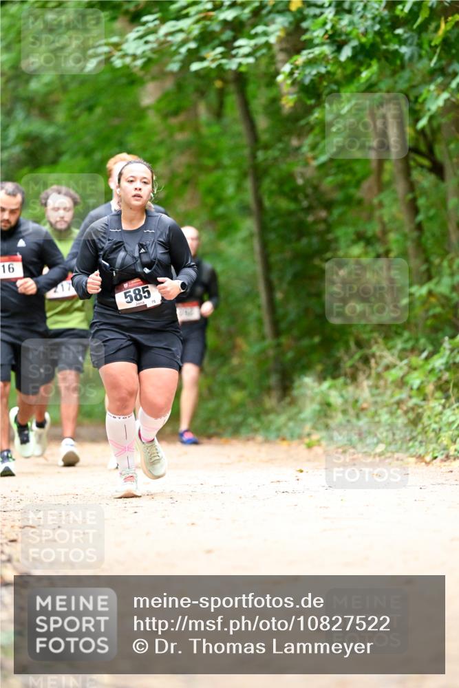 11.10.2026 - Bramfelder Halbmarathon 2026 Dr. Thomas Lammeyer http://msf.ph/oto/10827522 11.10.2026 11:03:08 Laufen 16, 585, 75 meine-sportfotos.de