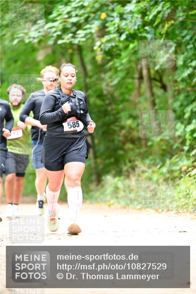 11.10.2026 - Bramfelder Halbmarathon 2026 Dr. Thomas Lammeyer http://msf.ph/oto/10827529 11.10.2026 11:03:09 Laufen 17, 585, 75 meine-sportfotos.de