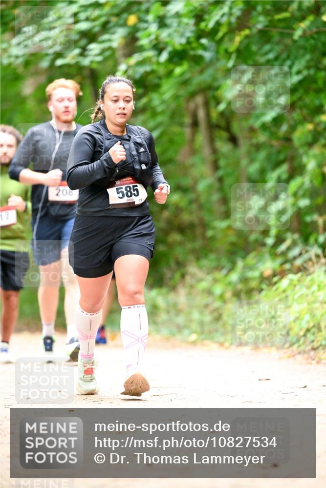 11.10.2026 - Bramfelder Halbmarathon 2026 Dr. Thomas Lammeyer http://msf.ph/oto/10827534 11.10.2026 11:03:10 Laufen 17, 208, 585, 75 meine-sportfotos.de