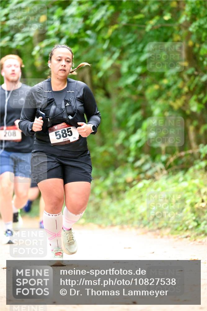 11.10.2026 - Bramfelder Halbmarathon 2026 Dr. Thomas Lammeyer http://msf.ph/oto/10827538 11.10.2026 11:03:10 Laufen 208, 585, 75 meine-sportfotos.de