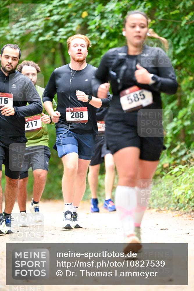 11.10.2026 - Bramfelder Halbmarathon 2026 Dr. Thomas Lammeyer http://msf.ph/oto/10827539 11.10.2026 11:03:11 Laufen 16, 217, 208, 9, 585 meine-sportfotos.de