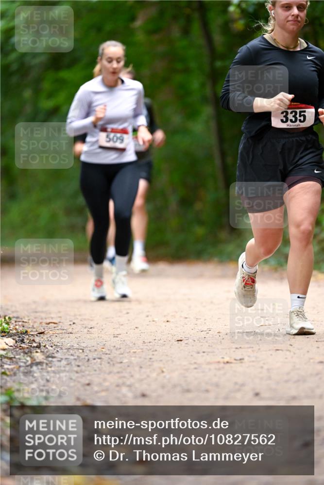 11.10.2026 - Bramfelder Halbmarathon 2026 Dr. Thomas Lammeyer http://msf.ph/oto/10827562 11.10.2026 11:03:16 Laufen 509, 335 meine-sportfotos.de