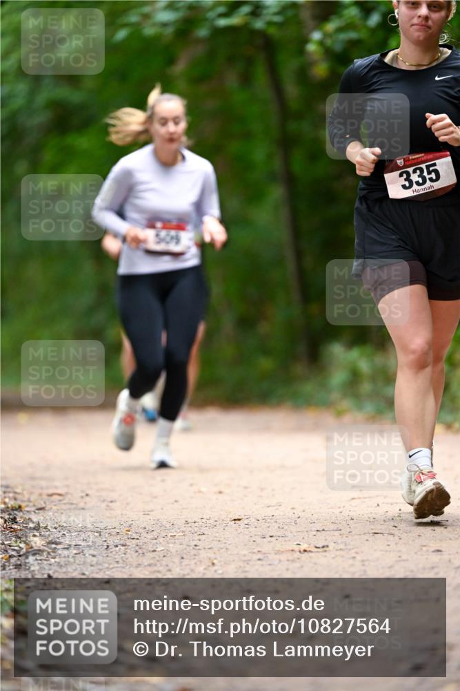 11.10.2026 - Bramfelder Halbmarathon 2026 Dr. Thomas Lammeyer http://msf.ph/oto/10827564 11.10.2026 11:03:16 Laufen 509, 335 meine-sportfotos.de