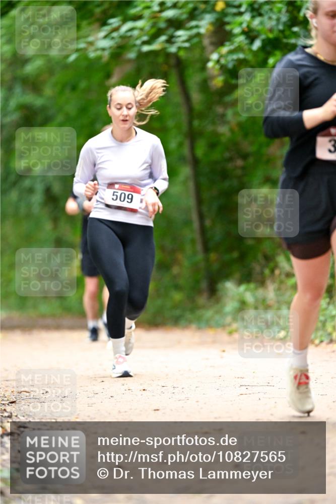 11.10.2026 - Bramfelder Halbmarathon 2026 Dr. Thomas Lammeyer http://msf.ph/oto/10827565 11.10.2026 11:03:17 Laufen 509 meine-sportfotos.de