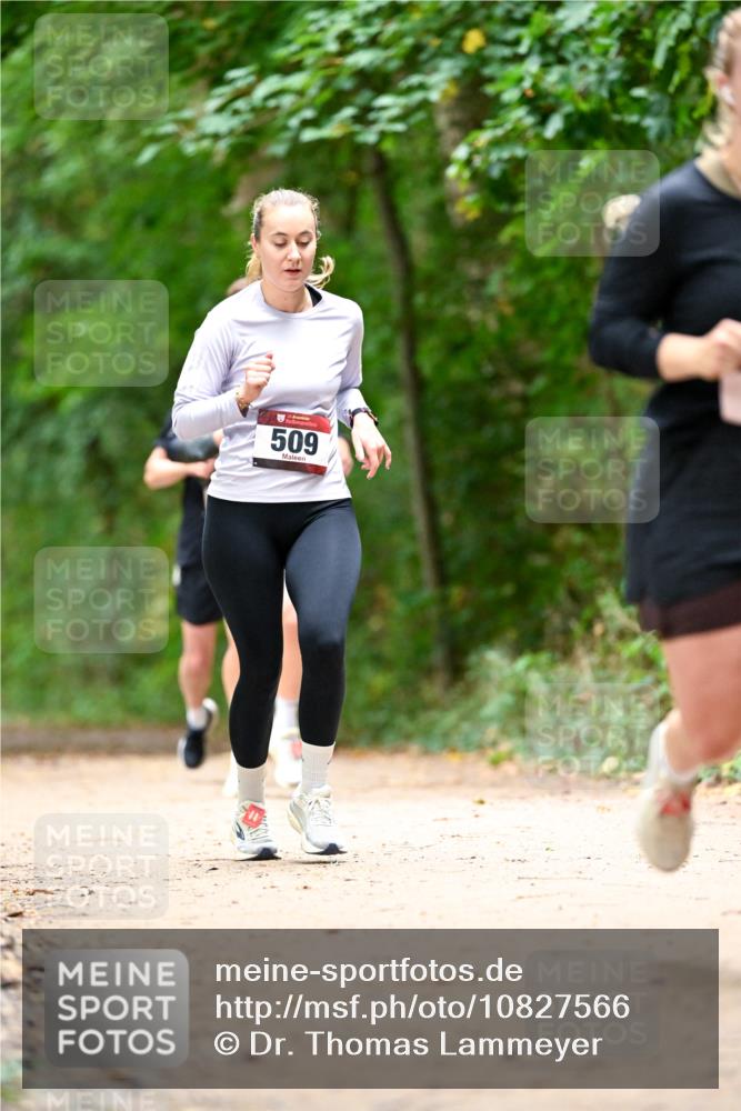 11.10.2026 - Bramfelder Halbmarathon 2026 Dr. Thomas Lammeyer http://msf.ph/oto/10827566 11.10.2026 11:03:17 Laufen 509 meine-sportfotos.de