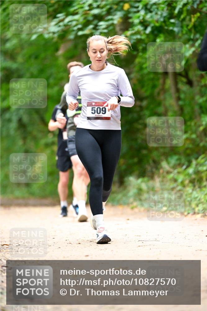 11.10.2026 - Bramfelder Halbmarathon 2026 Dr. Thomas Lammeyer http://msf.ph/oto/10827570 11.10.2026 11:03:17 Laufen 509 meine-sportfotos.de