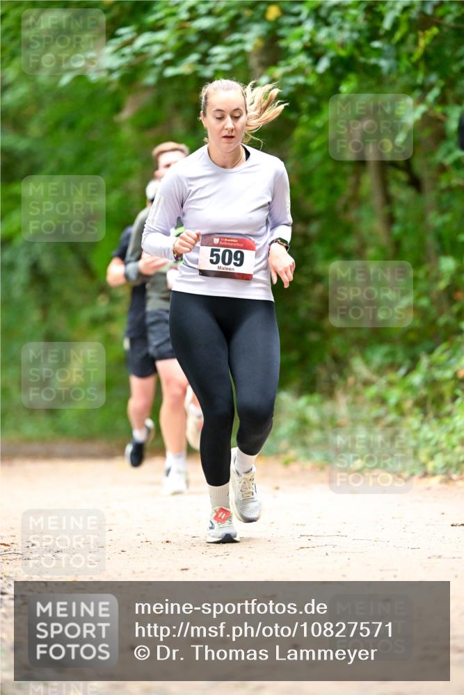 11.10.2026 - Bramfelder Halbmarathon 2026 Dr. Thomas Lammeyer http://msf.ph/oto/10827571 11.10.2026 11:03:17 Laufen 509 meine-sportfotos.de
