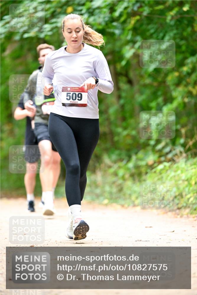 11.10.2026 - Bramfelder Halbmarathon 2026 Dr. Thomas Lammeyer http://msf.ph/oto/10827575 11.10.2026 11:03:18 Laufen 35, 509 meine-sportfotos.de