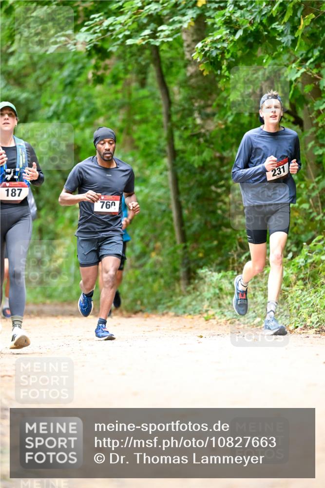 11.10.2026 - Bramfelder Halbmarathon 2026 Dr. Thomas Lammeyer http://msf.ph/oto/10827663 11.10.2026 11:03:50 Laufen 187, 231, 760 meine-sportfotos.de