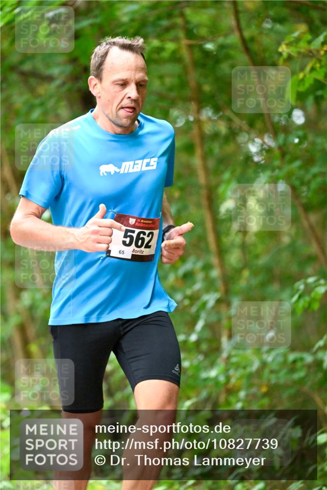11.10.2026 - Bramfelder Halbmarathon 2026 Dr. Thomas Lammeyer http://msf.ph/oto/10827739 11.10.2026 11:03:56 Laufen 35, 562, 65, 100 meine-sportfotos.de