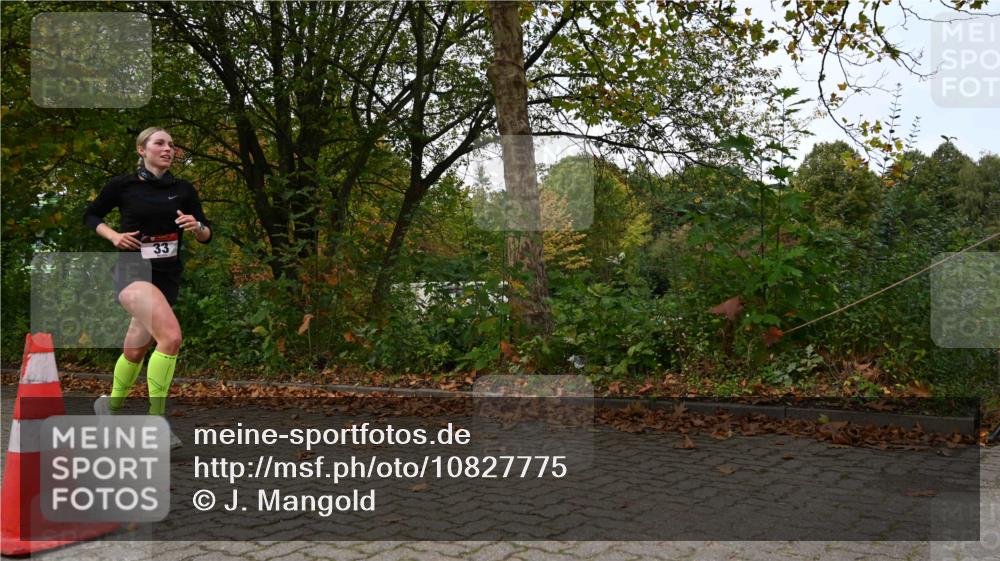 11.10.2026 - Bramfelder Halbmarathon 2026 J. Mangold http://msf.ph/oto/10827775 11.10.2026 10:44:03 Laufen 33, 768, 812 meine-sportfotos.de