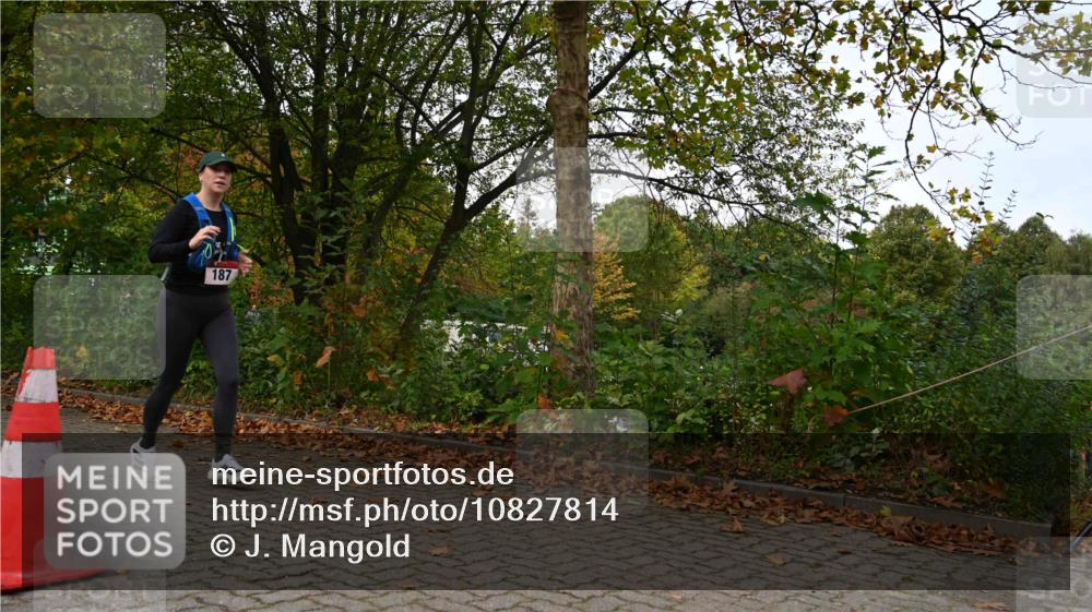 11.10.2026 - Bramfelder Halbmarathon 2026 J. Mangold http://msf.ph/oto/10827814 11.10.2026 10:44:20 Laufen 262, 274 meine-sportfotos.de