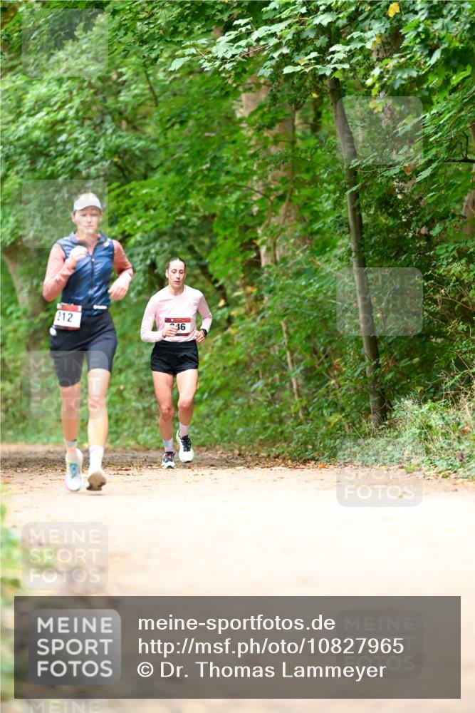 11.10.2026 - Bramfelder Halbmarathon 2026 Dr. Thomas Lammeyer http://msf.ph/oto/10827965 11.10.2026 11:04:46 Laufen 212, 416 meine-sportfotos.de
