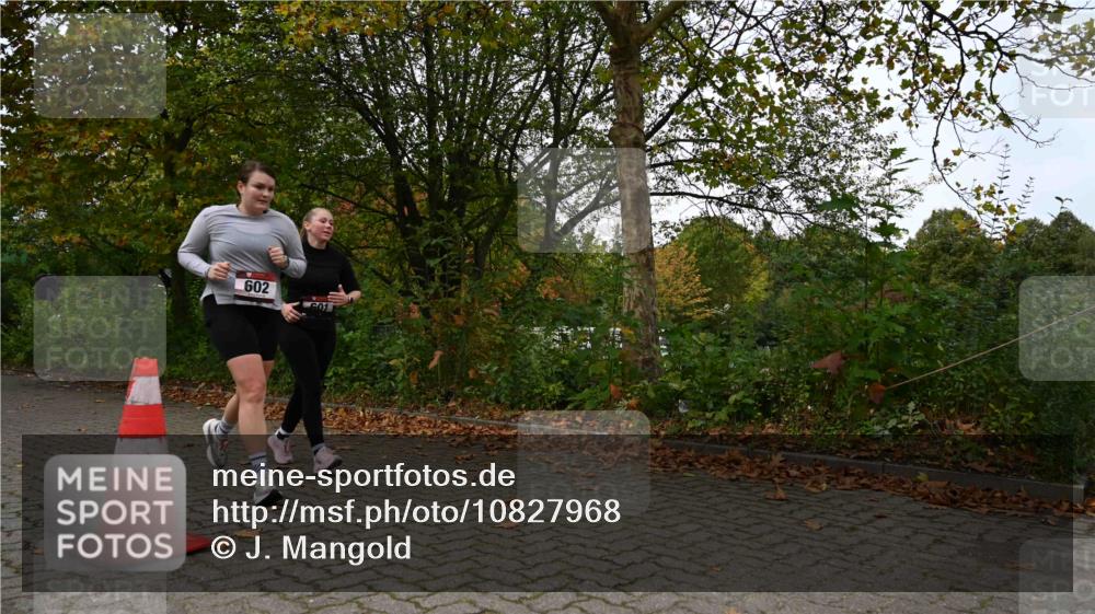 11.10.2026 - Bramfelder Halbmarathon 2026 J. Mangold http://msf.ph/oto/10827968 11.10.2026 10:45:44 Laufen 260, 601, 602, 704, 814, 815 meine-sportfotos.de