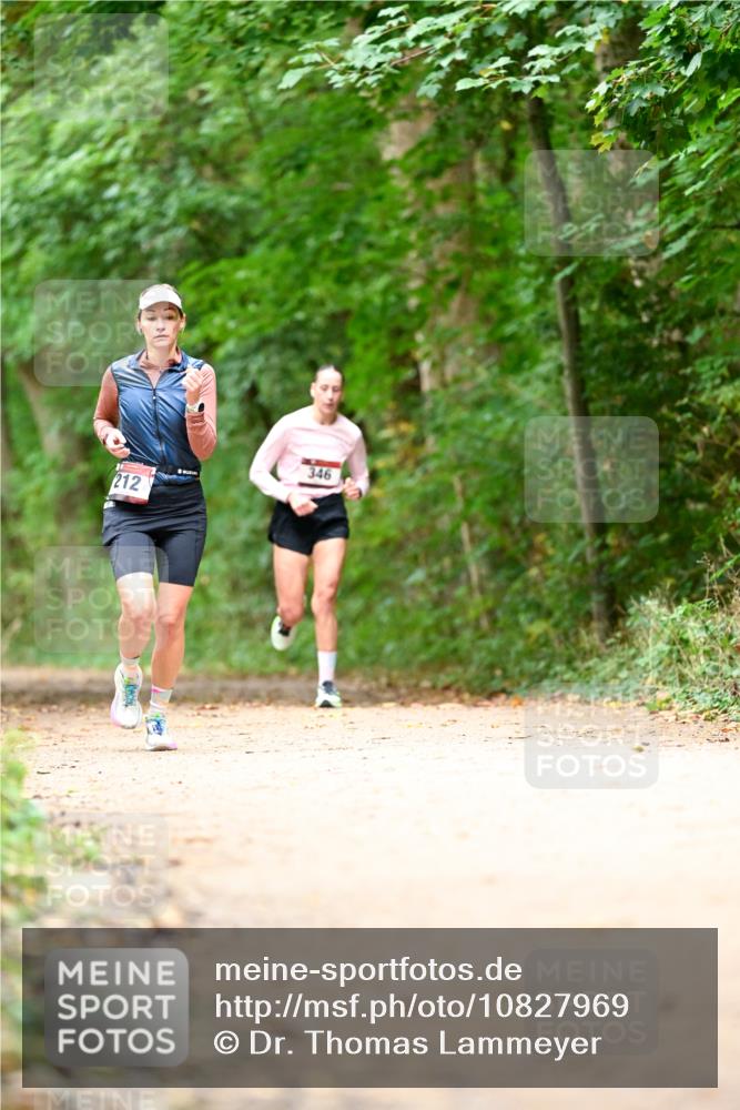 11.10.2026 - Bramfelder Halbmarathon 2026 Dr. Thomas Lammeyer http://msf.ph/oto/10827969 11.10.2026 11:04:47 Laufen 212, 346 meine-sportfotos.de