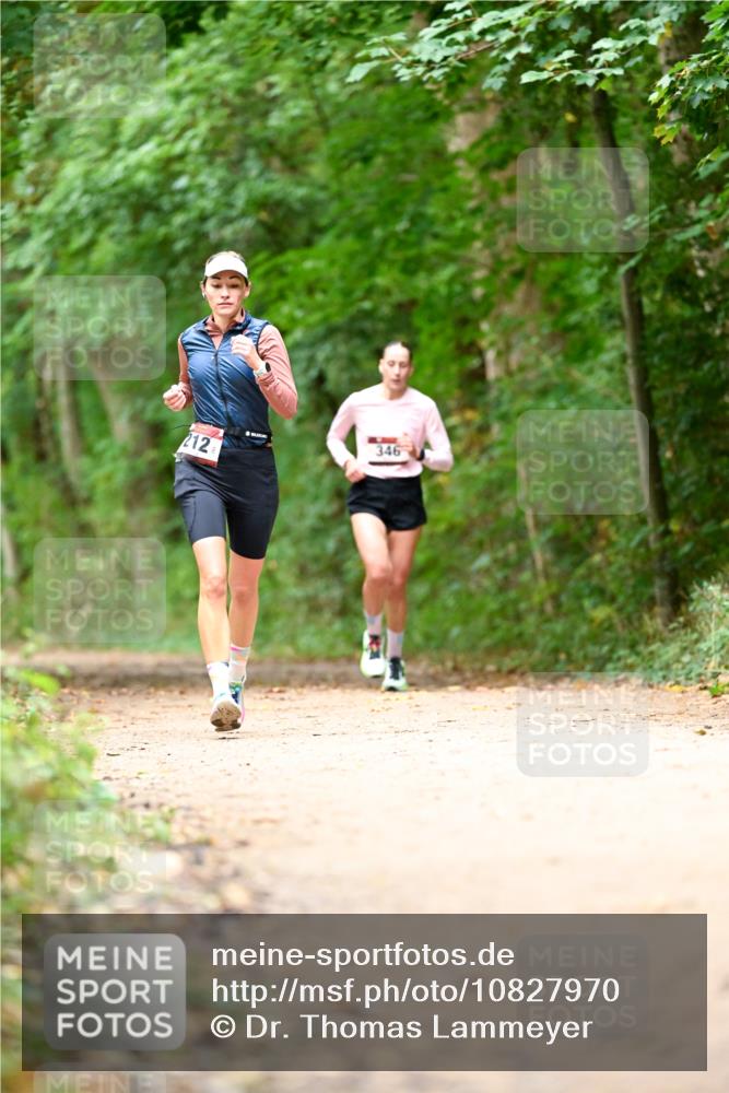 11.10.2026 - Bramfelder Halbmarathon 2026 Dr. Thomas Lammeyer http://msf.ph/oto/10827970 11.10.2026 11:04:47 Laufen 212, 346 meine-sportfotos.de