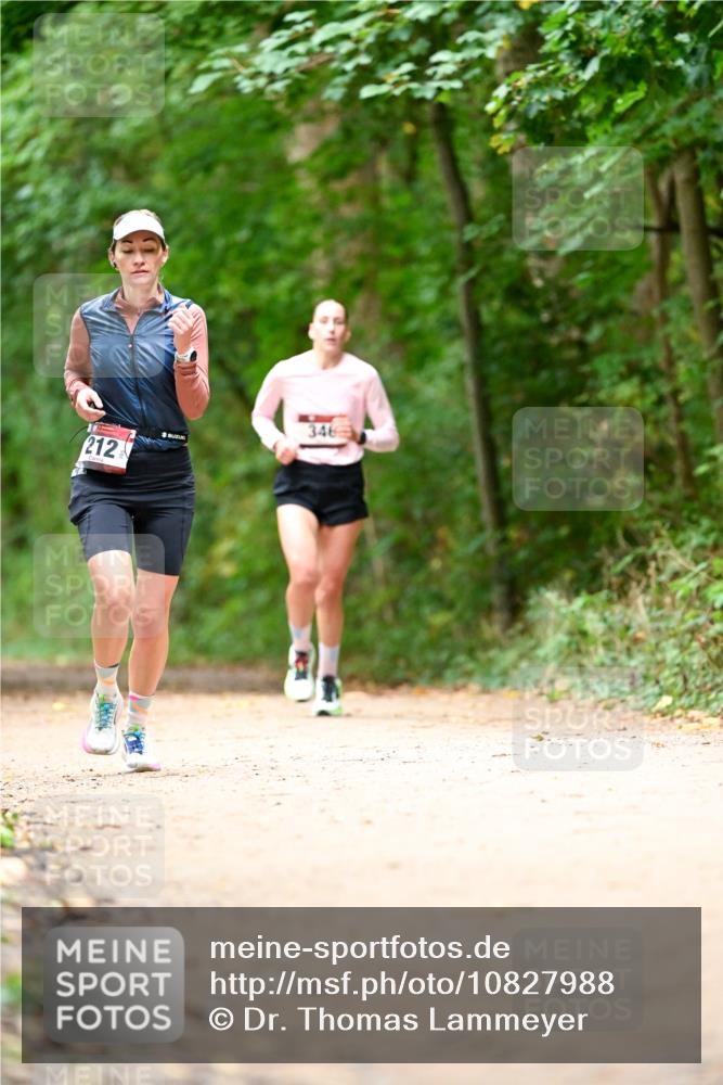 11.10.2026 - Bramfelder Halbmarathon 2026 Dr. Thomas Lammeyer http://msf.ph/oto/10827988 11.10.2026 11:04:48 Laufen 212, 346 meine-sportfotos.de