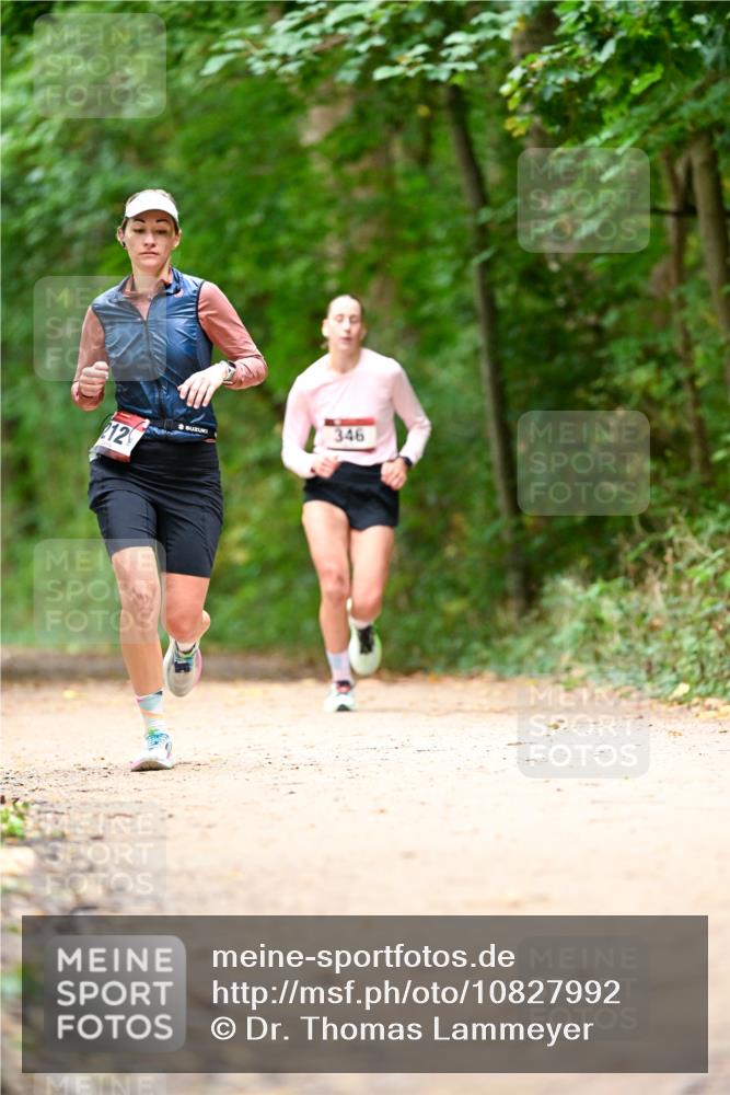11.10.2026 - Bramfelder Halbmarathon 2026 Dr. Thomas Lammeyer http://msf.ph/oto/10827992 11.10.2026 11:04:48 Laufen 212, 346 meine-sportfotos.de