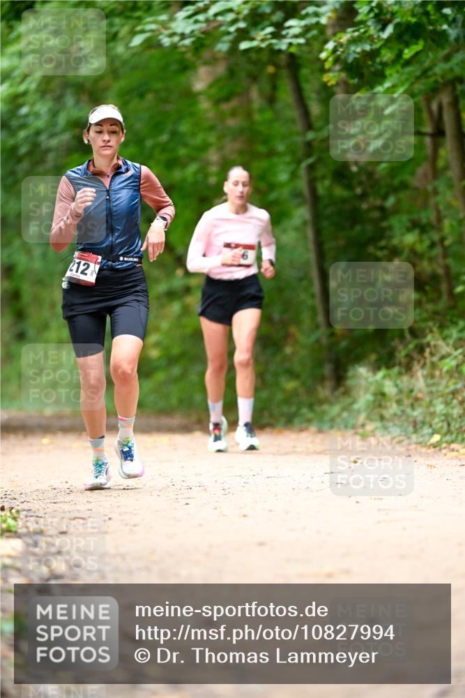11.10.2026 - Bramfelder Halbmarathon 2026 Dr. Thomas Lammeyer http://msf.ph/oto/10827994 11.10.2026 11:04:49 Laufen 2, 212, 2 meine-sportfotos.de