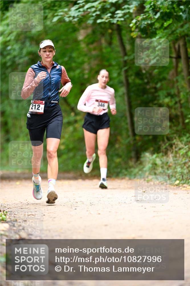 11.10.2026 - Bramfelder Halbmarathon 2026 Dr. Thomas Lammeyer http://msf.ph/oto/10827996 11.10.2026 11:04:49 Laufen 212, 346 meine-sportfotos.de