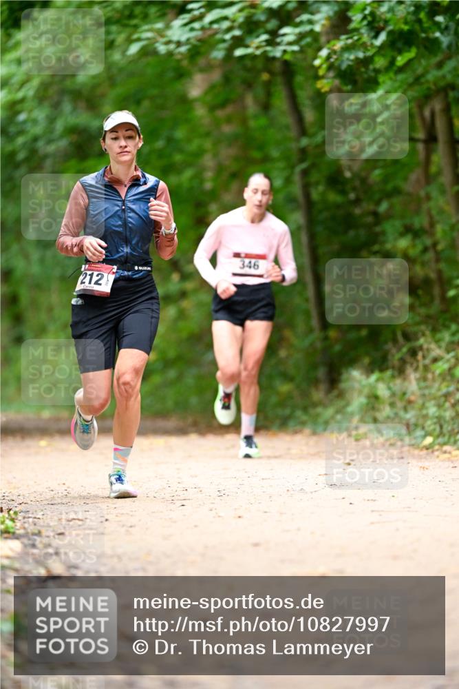 11.10.2026 - Bramfelder Halbmarathon 2026 Dr. Thomas Lammeyer http://msf.ph/oto/10827997 11.10.2026 11:04:49 Laufen 212, 346 meine-sportfotos.de