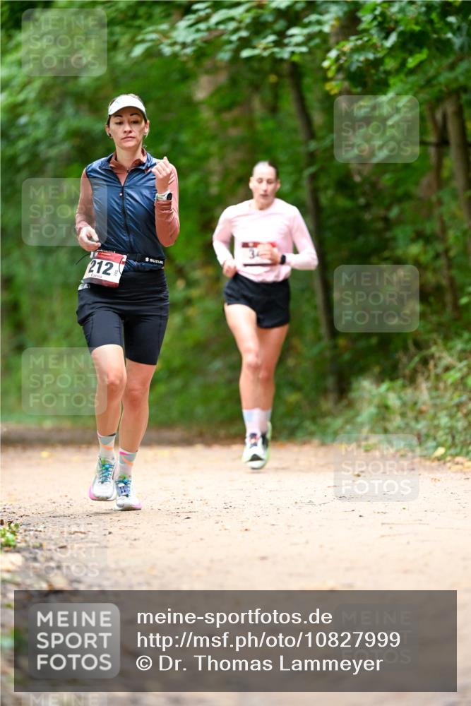 11.10.2026 - Bramfelder Halbmarathon 2026 Dr. Thomas Lammeyer http://msf.ph/oto/10827999 11.10.2026 11:04:49 Laufen 212 meine-sportfotos.de