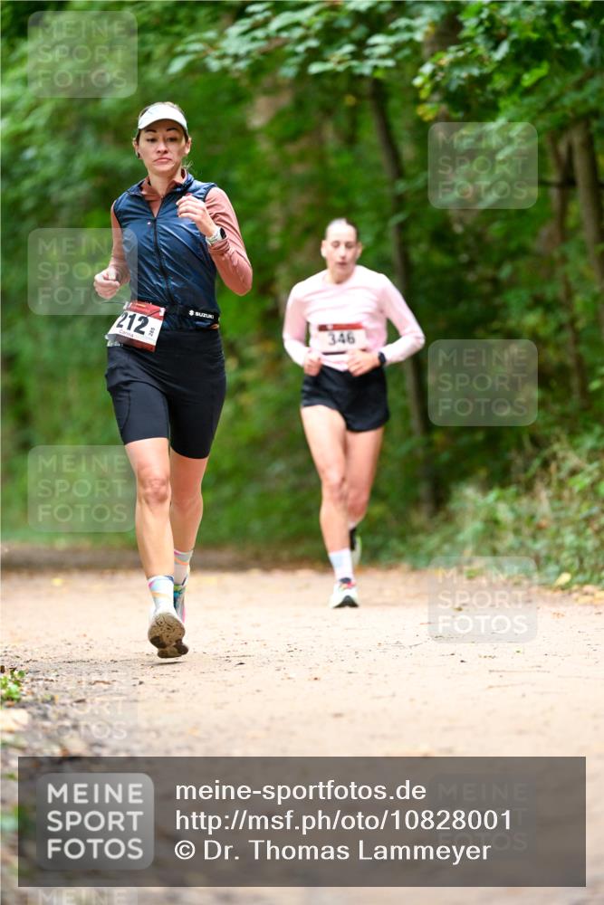 11.10.2026 - Bramfelder Halbmarathon 2026 Dr. Thomas Lammeyer http://msf.ph/oto/10828001 11.10.2026 11:04:49 Laufen 212, 346 meine-sportfotos.de