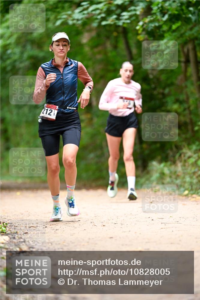 11.10.2026 - Bramfelder Halbmarathon 2026 Dr. Thomas Lammeyer http://msf.ph/oto/10828005 11.10.2026 11:04:49 Laufen 212 meine-sportfotos.de