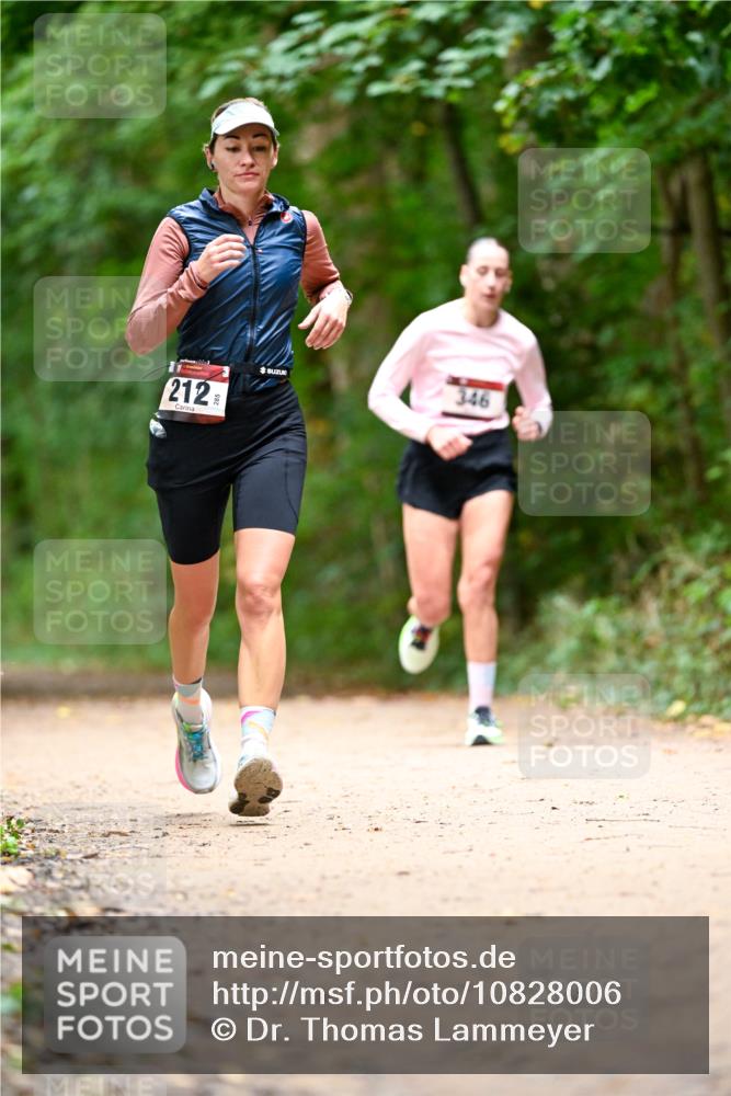 11.10.2026 - Bramfelder Halbmarathon 2026 Dr. Thomas Lammeyer http://msf.ph/oto/10828006 11.10.2026 11:04:49 Laufen 212, 346 meine-sportfotos.de