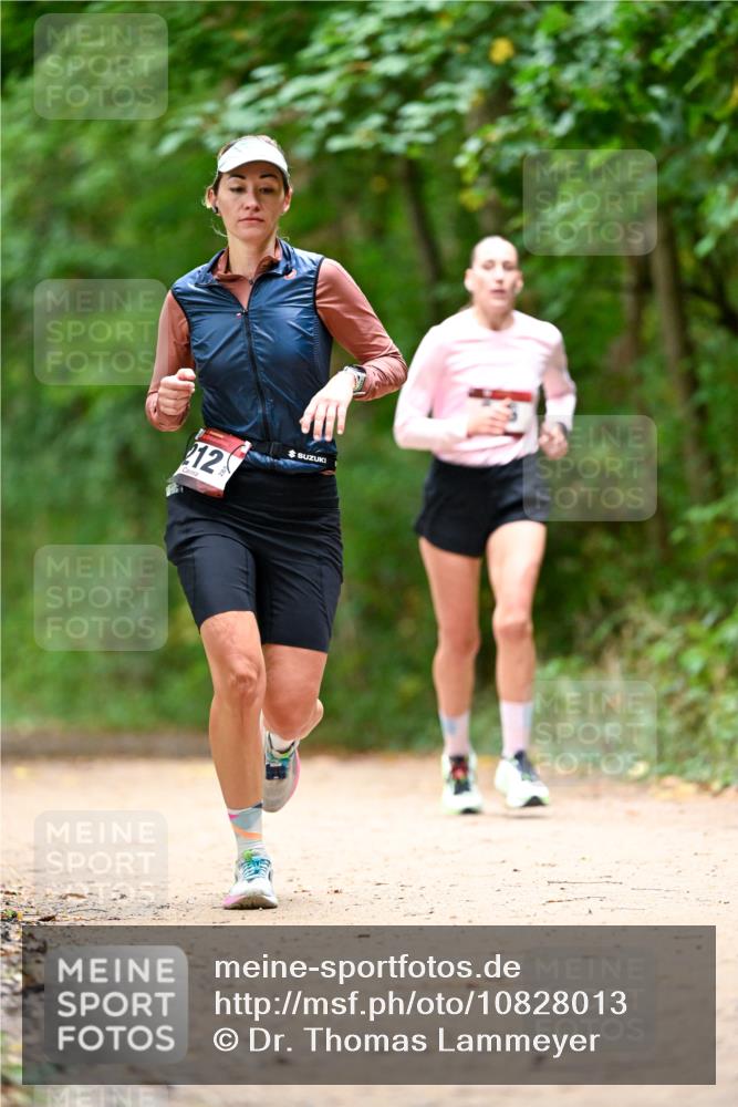 11.10.2026 - Bramfelder Halbmarathon 2026 Dr. Thomas Lammeyer http://msf.ph/oto/10828013 11.10.2026 11:04:50 Laufen 212 meine-sportfotos.de