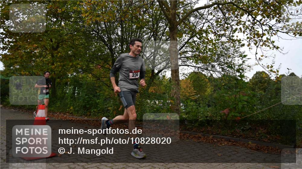 11.10.2026 - Bramfelder Halbmarathon 2026 J. Mangold http://msf.ph/oto/10828020 11.10.2026 10:46:27 Laufen 84, 155, 230 meine-sportfotos.de
