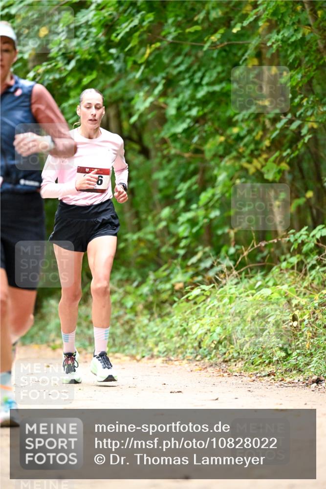 11.10.2026 - Bramfelder Halbmarathon 2026 Dr. Thomas Lammeyer http://msf.ph/oto/10828022 11.10.2026 11:04:51 Laufen 6 meine-sportfotos.de