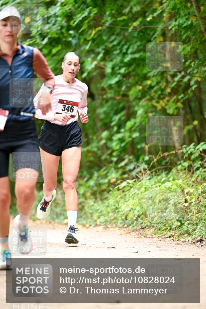 11.10.2026 - Bramfelder Halbmarathon 2026 Dr. Thomas Lammeyer http://msf.ph/oto/10828024 11.10.2026 11:04:51 Laufen 346 meine-sportfotos.de