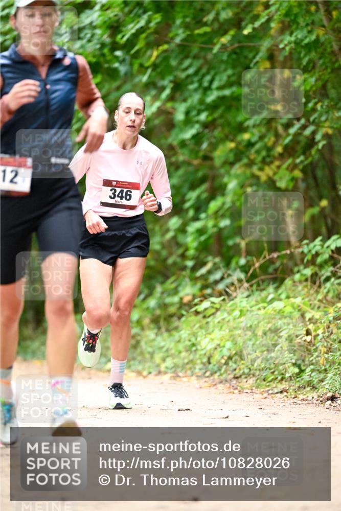 11.10.2026 - Bramfelder Halbmarathon 2026 Dr. Thomas Lammeyer http://msf.ph/oto/10828026 11.10.2026 11:04:51 Laufen 12, 346 meine-sportfotos.de