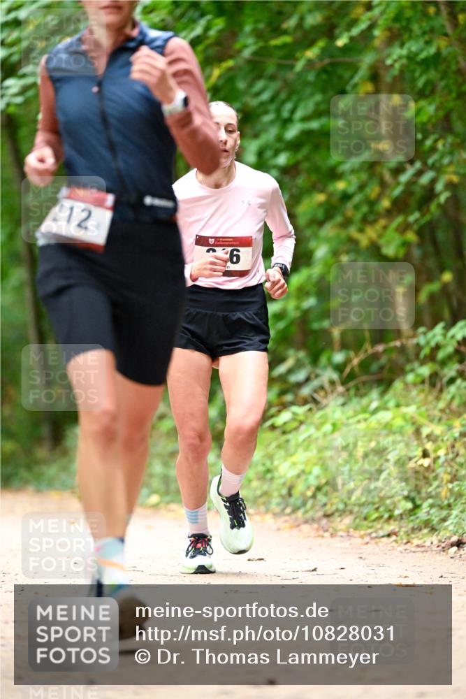 11.10.2026 - Bramfelder Halbmarathon 2026 Dr. Thomas Lammeyer http://msf.ph/oto/10828031 11.10.2026 11:04:51 Laufen 212, 35, 6 meine-sportfotos.de
