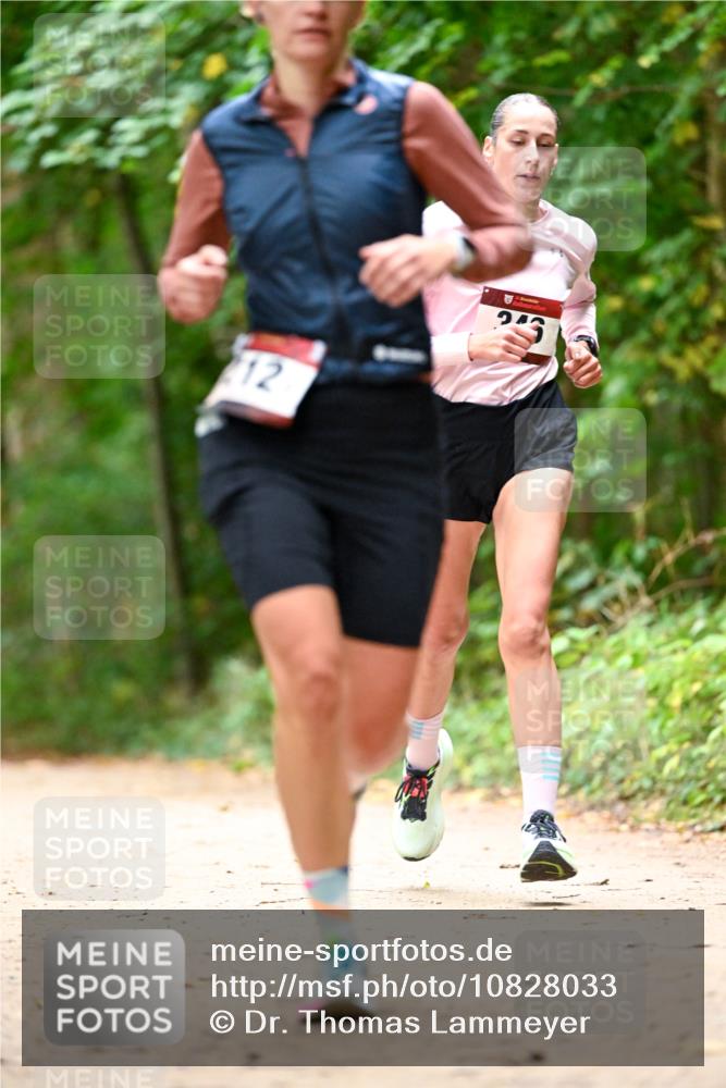 11.10.2026 - Bramfelder Halbmarathon 2026 Dr. Thomas Lammeyer http://msf.ph/oto/10828033 11.10.2026 11:04:52 Laufen 12 meine-sportfotos.de