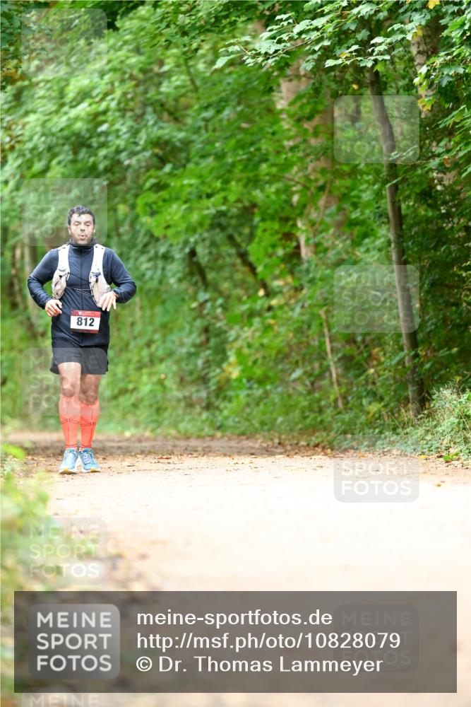 11.10.2026 - Bramfelder Halbmarathon 2026 Dr. Thomas Lammeyer http://msf.ph/oto/10828079 11.10.2026 11:05:19 Laufen 812 meine-sportfotos.de