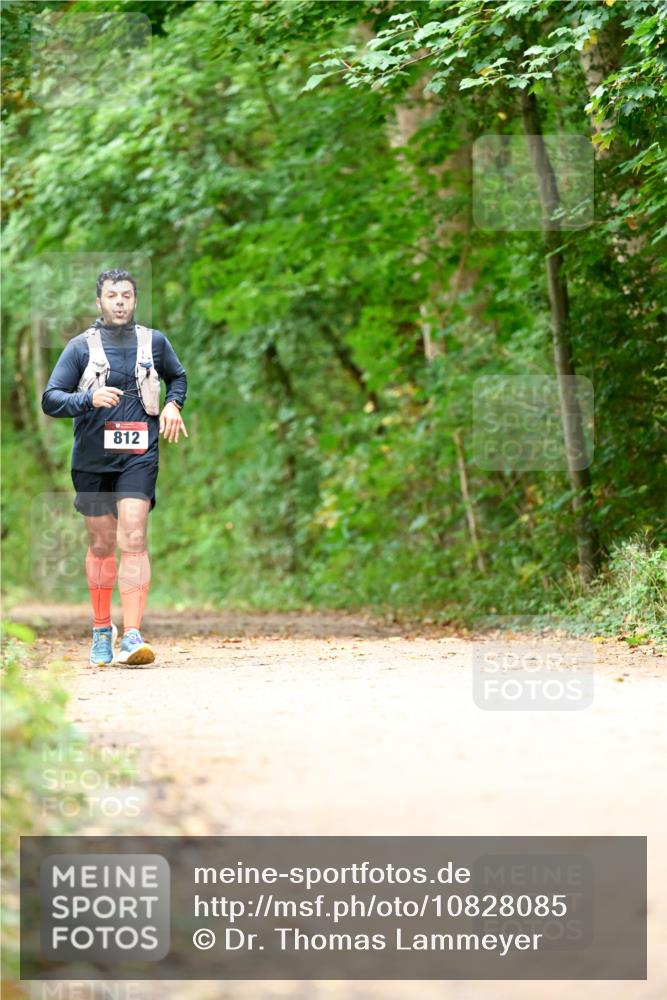 11.10.2026 - Bramfelder Halbmarathon 2026 Dr. Thomas Lammeyer http://msf.ph/oto/10828085 11.10.2026 11:05:19 Laufen 812 meine-sportfotos.de