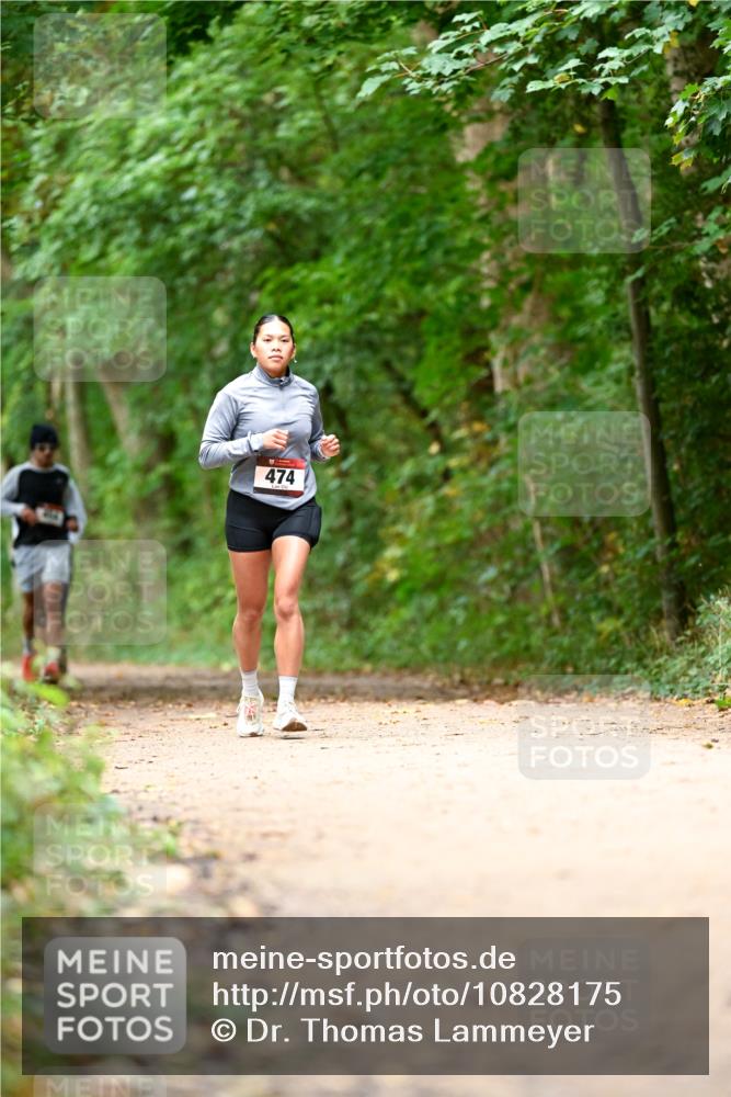 11.10.2026 - Bramfelder Halbmarathon 2026 Dr. Thomas Lammeyer http://msf.ph/oto/10828175 11.10.2026 11:06:07 Laufen 474 meine-sportfotos.de