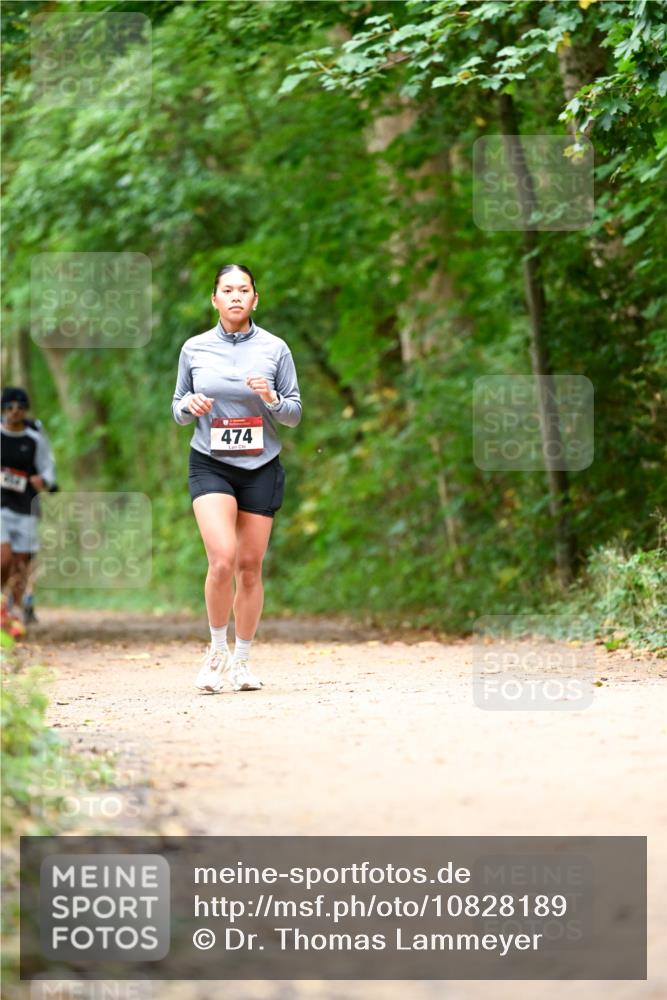 11.10.2026 - Bramfelder Halbmarathon 2026 Dr. Thomas Lammeyer http://msf.ph/oto/10828189 11.10.2026 11:06:08 Laufen 474 meine-sportfotos.de