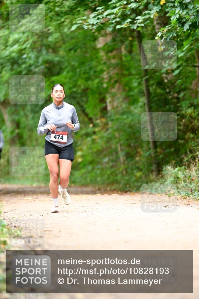 11.10.2026 - Bramfelder Halbmarathon 2026 Dr. Thomas Lammeyer http://msf.ph/oto/10828193 11.10.2026 11:06:08 Laufen 474 meine-sportfotos.de
