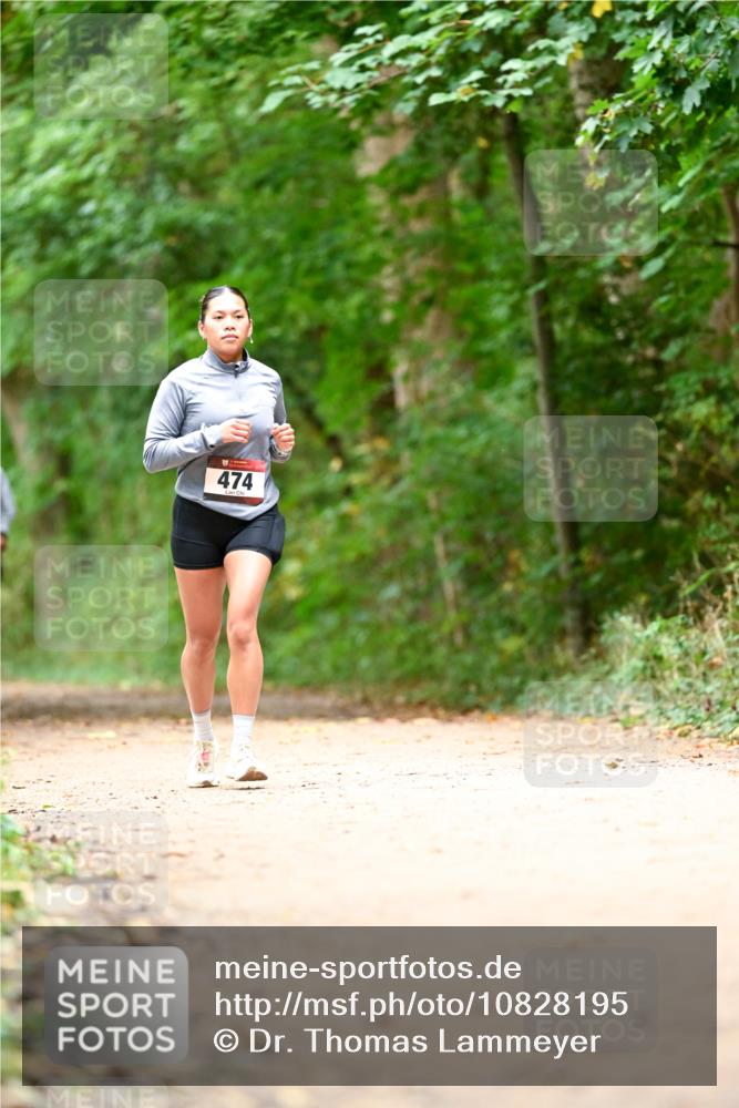 11.10.2026 - Bramfelder Halbmarathon 2026 Dr. Thomas Lammeyer http://msf.ph/oto/10828195 11.10.2026 11:06:08 Laufen 474 meine-sportfotos.de