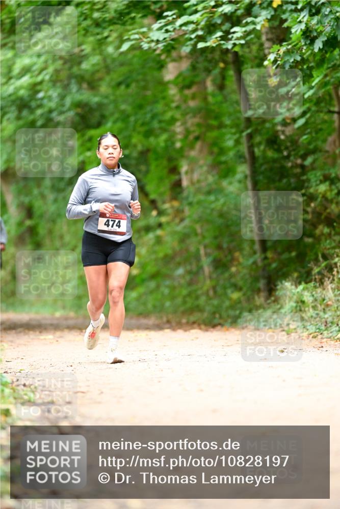 11.10.2026 - Bramfelder Halbmarathon 2026 Dr. Thomas Lammeyer http://msf.ph/oto/10828197 11.10.2026 11:06:08 Laufen 474 meine-sportfotos.de