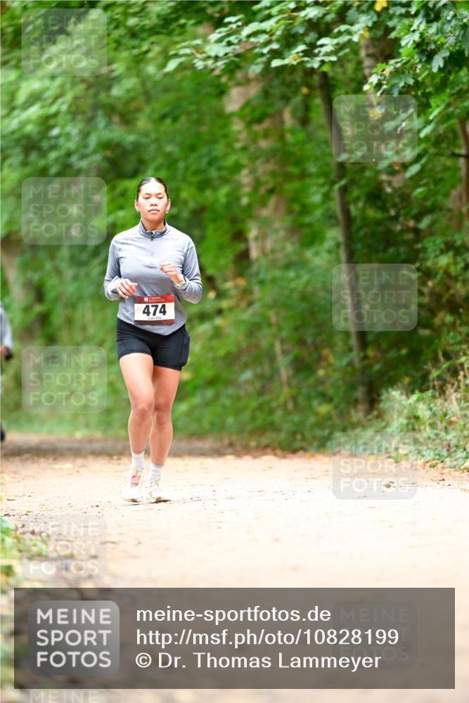 11.10.2026 - Bramfelder Halbmarathon 2026 Dr. Thomas Lammeyer http://msf.ph/oto/10828199 11.10.2026 11:06:08 Laufen 474 meine-sportfotos.de