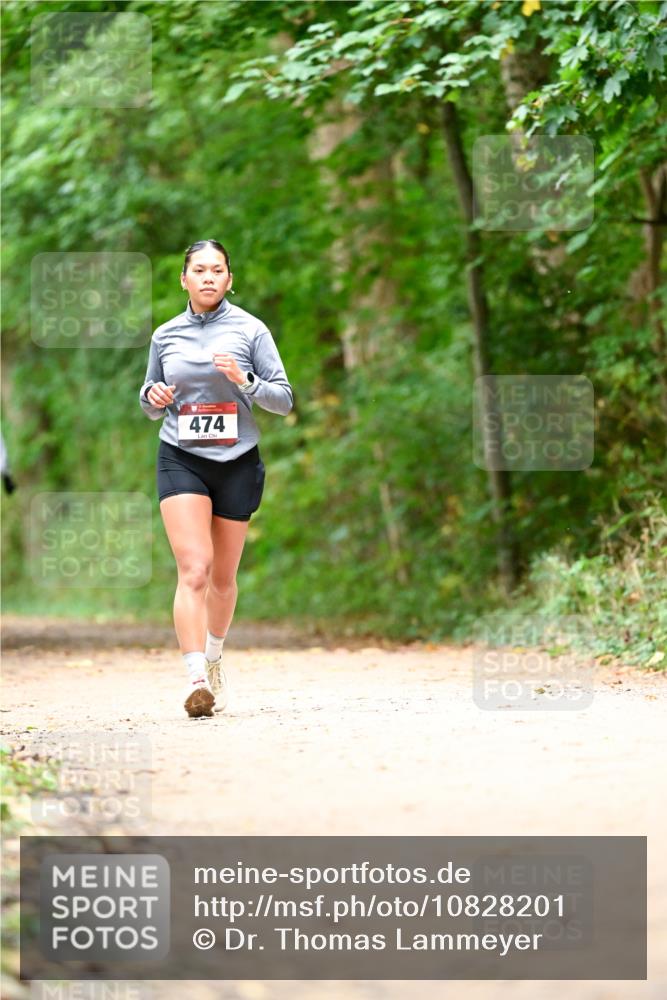 11.10.2026 - Bramfelder Halbmarathon 2026 Dr. Thomas Lammeyer http://msf.ph/oto/10828201 11.10.2026 11:06:08 Laufen 474 meine-sportfotos.de