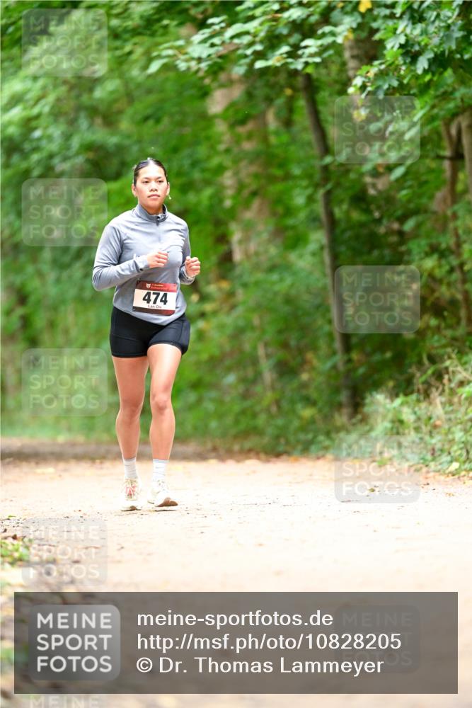 11.10.2026 - Bramfelder Halbmarathon 2026 Dr. Thomas Lammeyer http://msf.ph/oto/10828205 11.10.2026 11:06:09 Laufen 474 meine-sportfotos.de